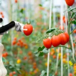 The Future of Farming: Artificial Intelligence and Agriculture